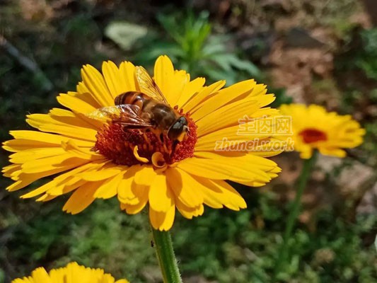 微信图片_20230826094700